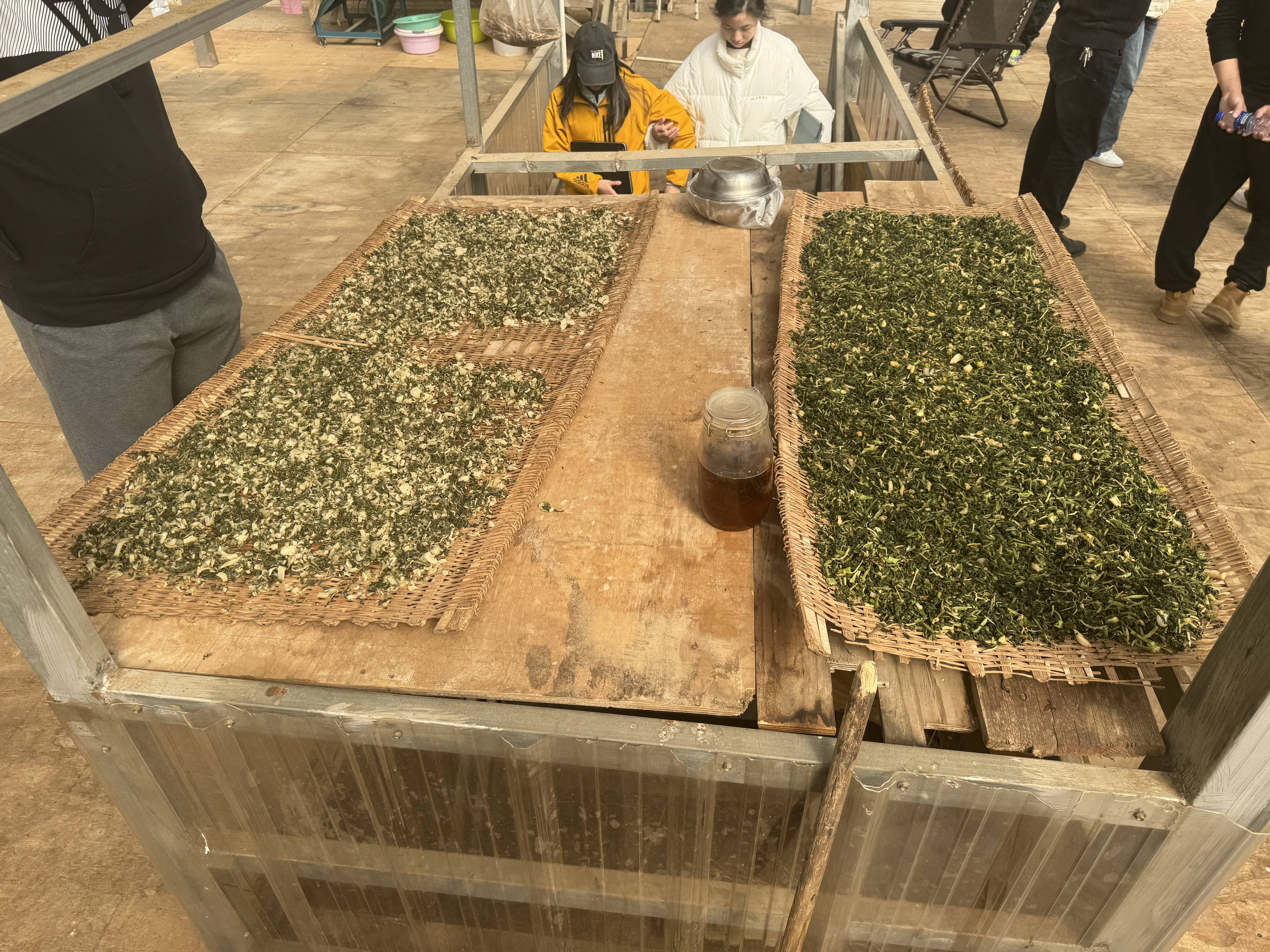 布朗族田野调查